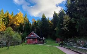 Chalet Woody